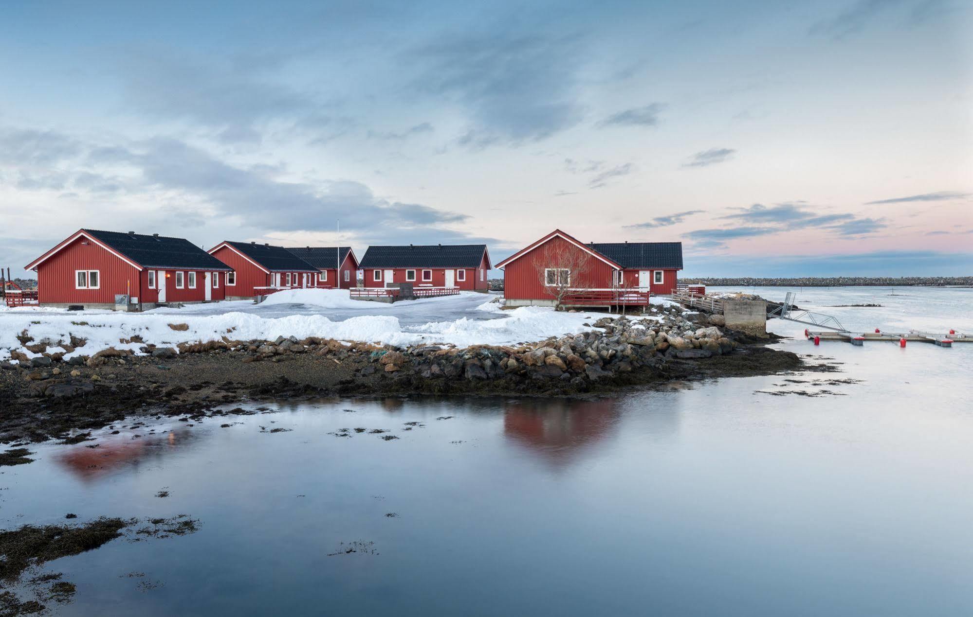 Lankanholmen Sea Cabins Andenes Eksteriør bilde